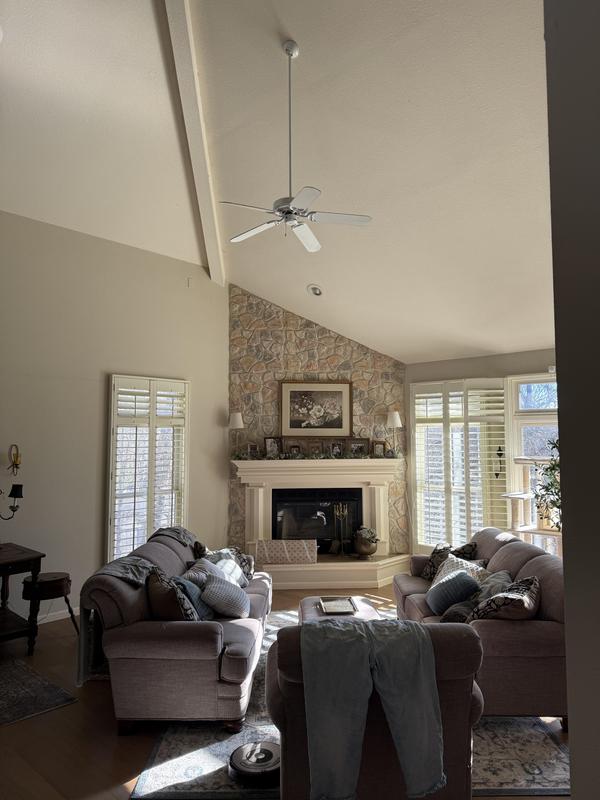 Original basic white fan