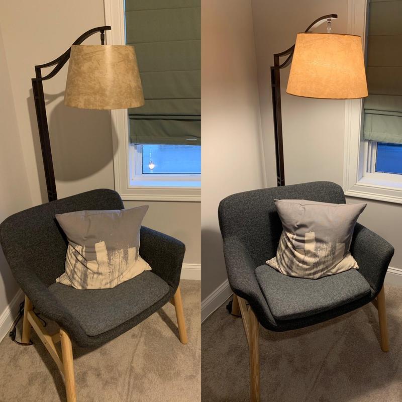 Tahoe Bronze Downbridge Floor Lamp