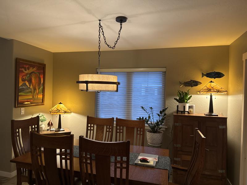 Beautiful addition- dining room light