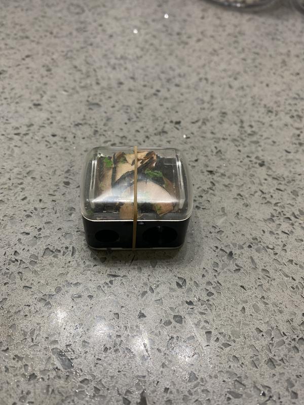 makeup sharpener.