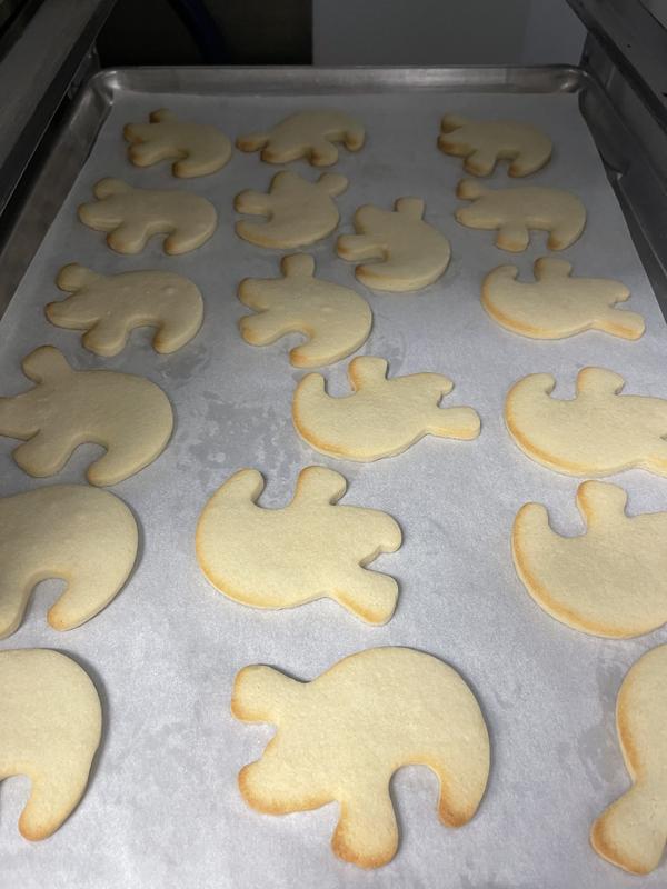 Land O Lakes Sugar Cookie Cutout Recipe Besto Blog