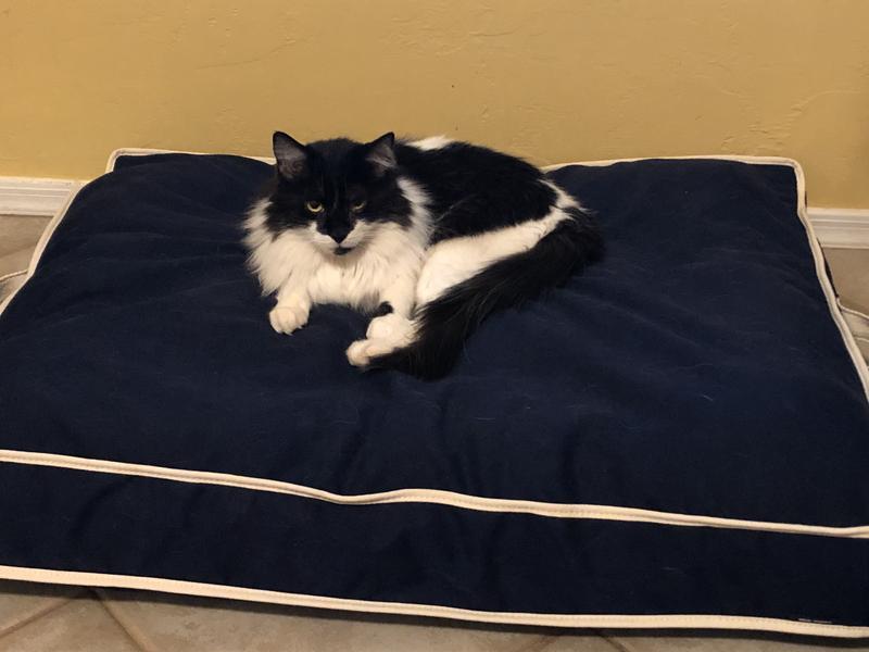 Tommy and the bed