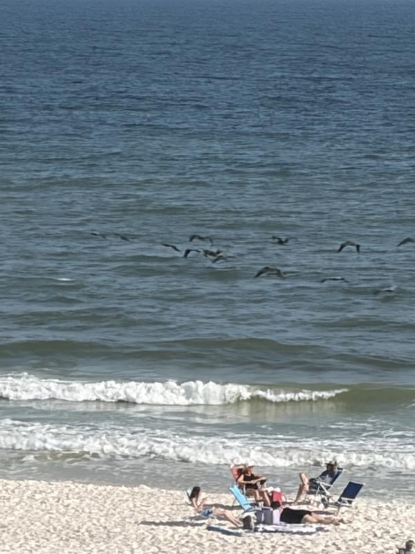 Review Thumbnail Image 0 383009023