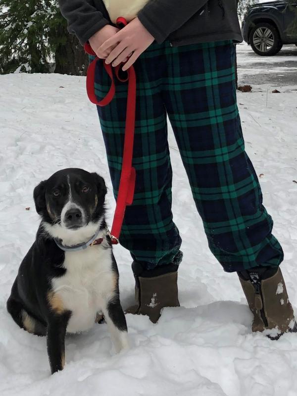 Lined flannel lounge pants withstand winter temps