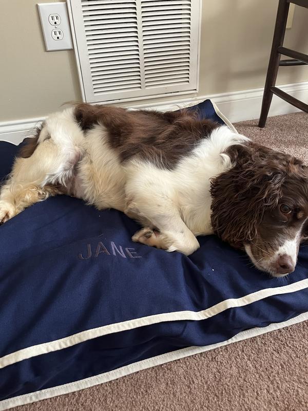 Review Thumbnail Image 0 354047378