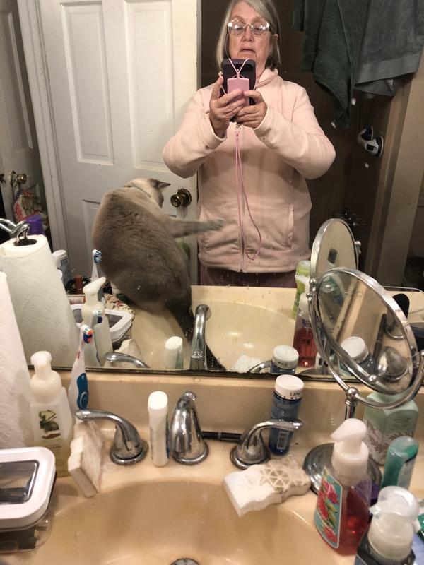 Tall size is perfect