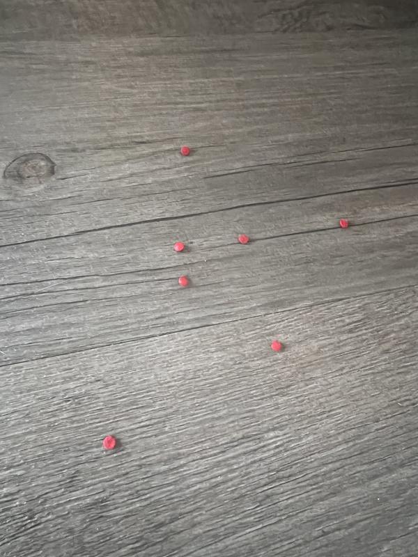 Gripper dots all over the floor, first wear.