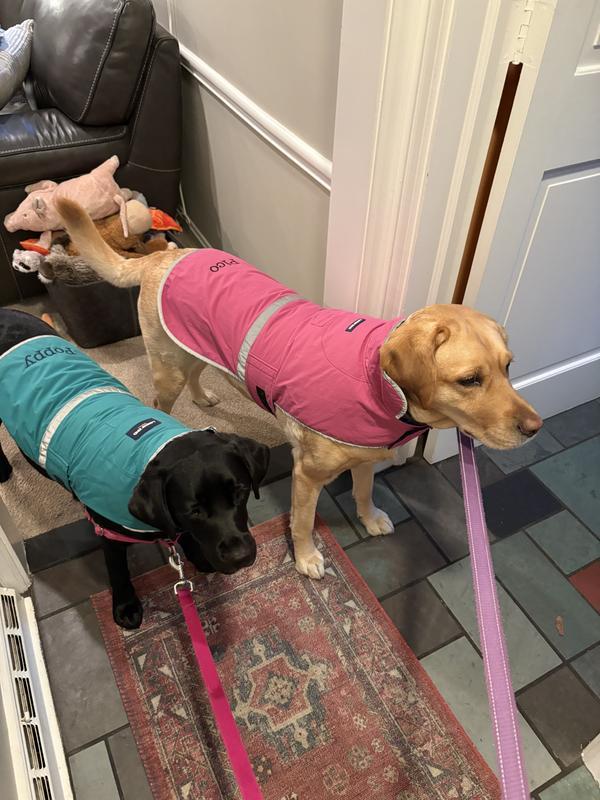 Ready for rain