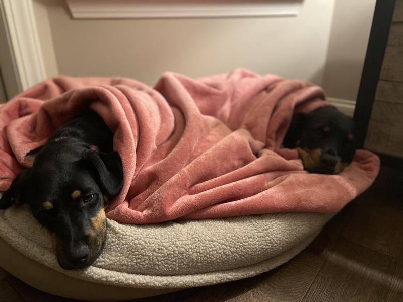 Snuggling for bedtime