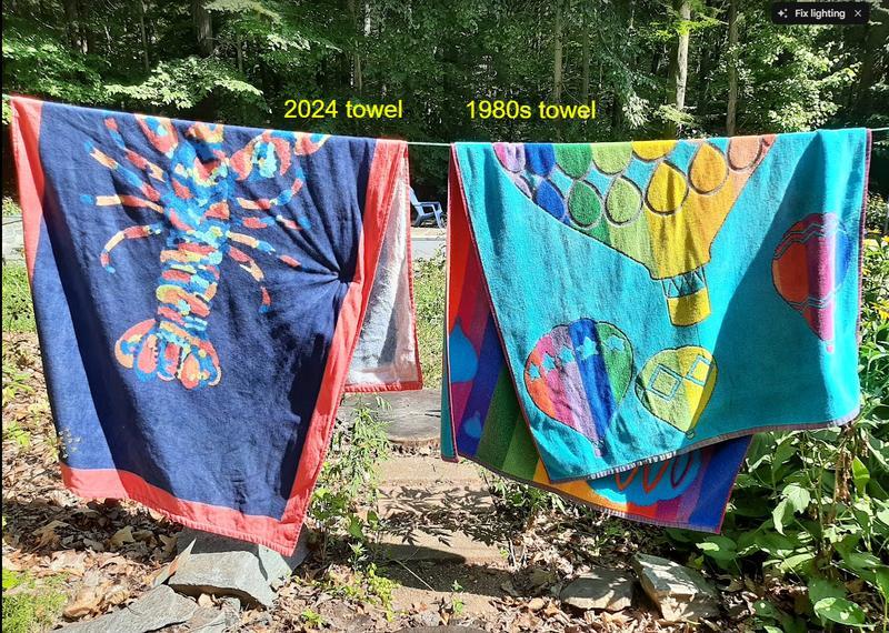 Customer photo for "Great Design on a Mediocre Quality Beach Towel"