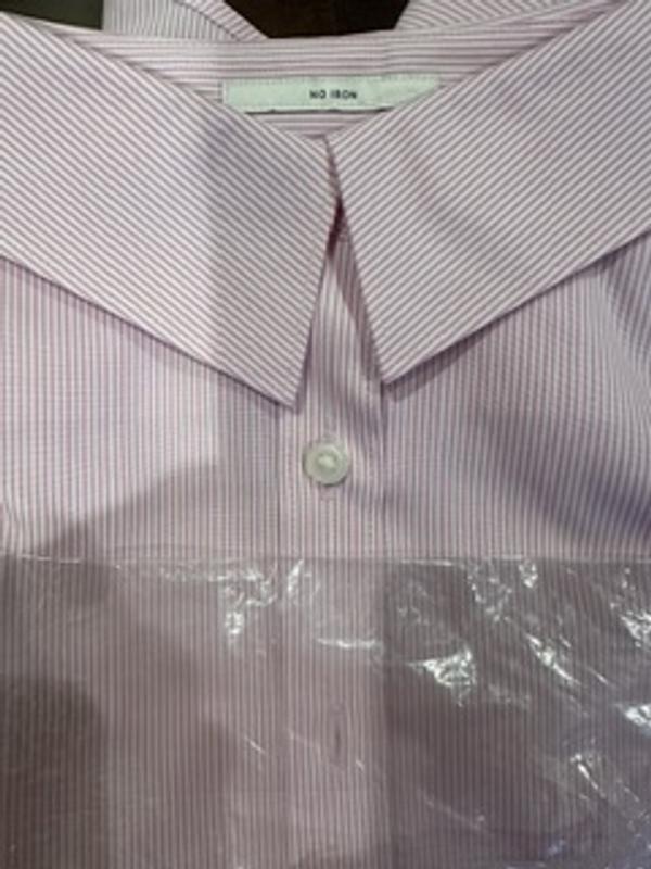 Aster is Pale. Crooked Collar.