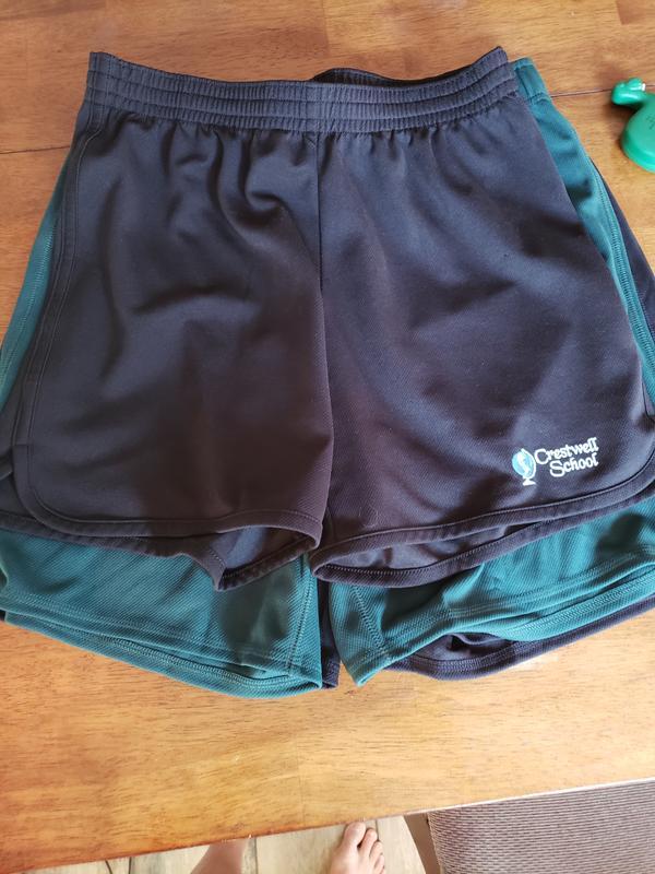 Older shorts on top, same size