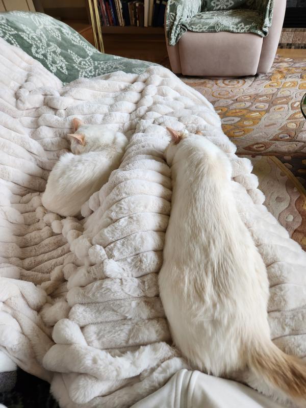 They have accepted the offering