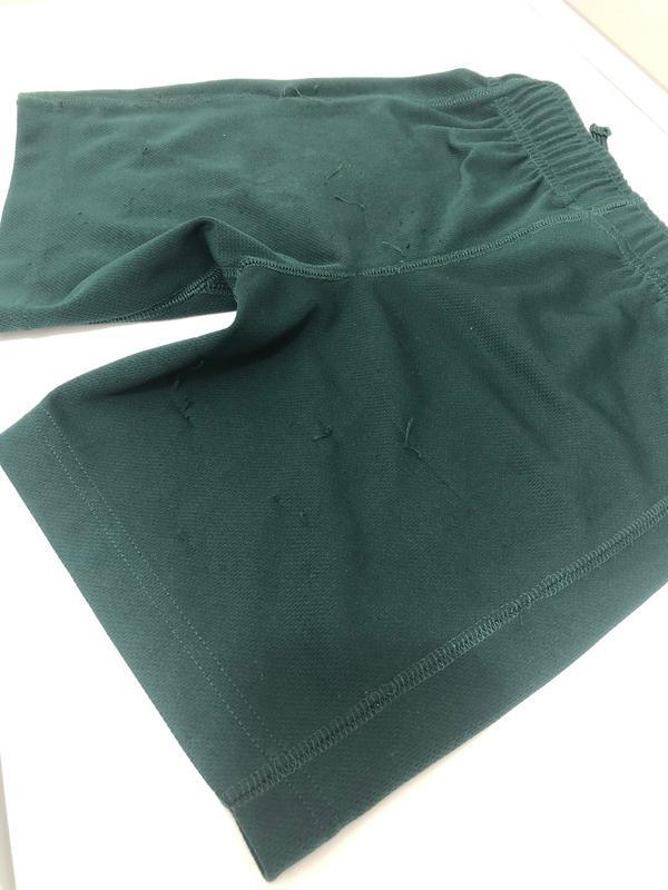 Snagged Shorts