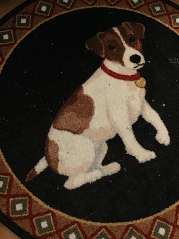 Still all over rug in bedroom