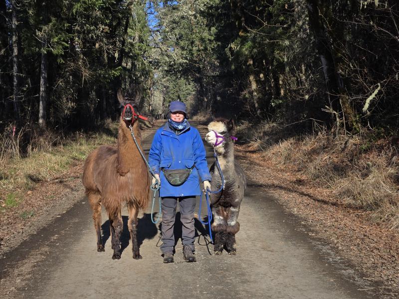 Cozy in my coat on a chrisp morning llama walk in the Pacific Northwest.