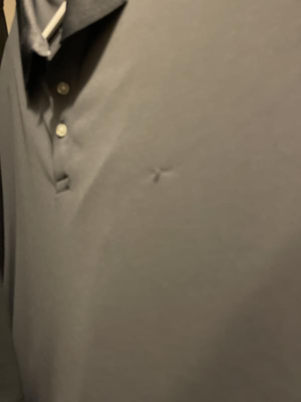 Photo from Michigan Man