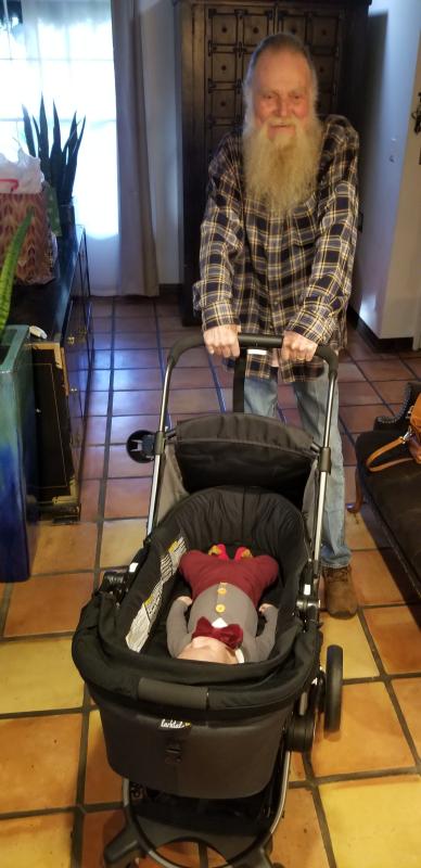 larktale coast stroller review