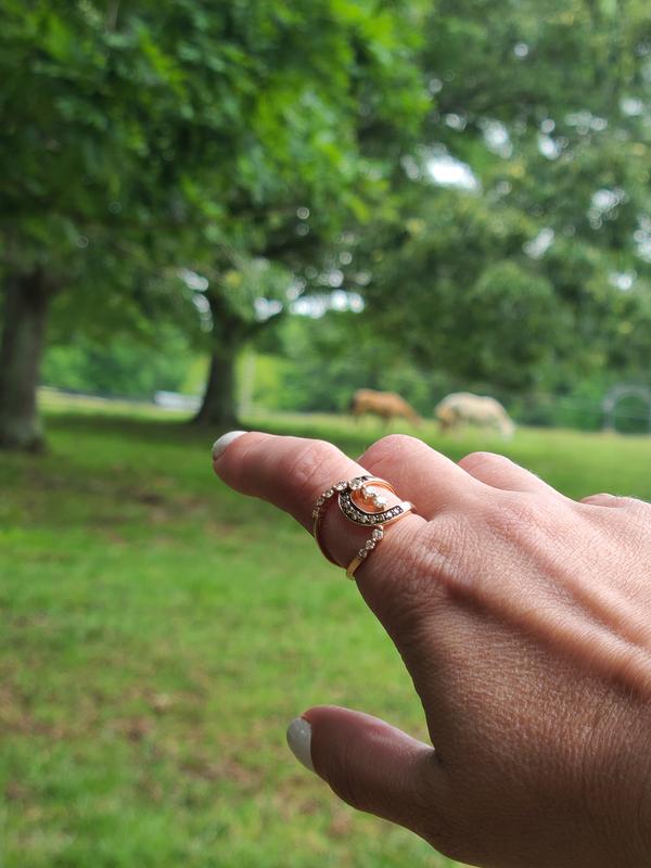 Horseshoe ring with the horses.
