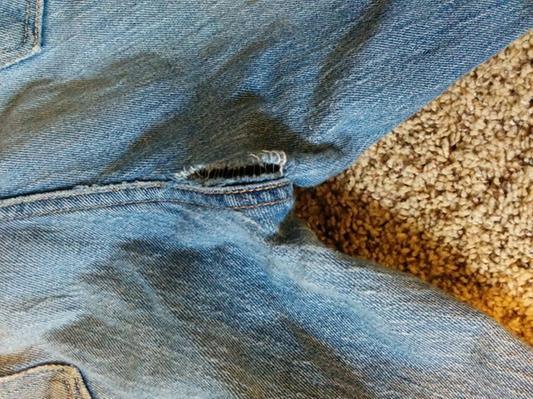 6 months old light wear