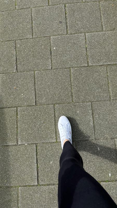Avis sur la photo 1.
