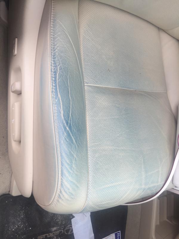 Car seat destroyed with cheap blue dye