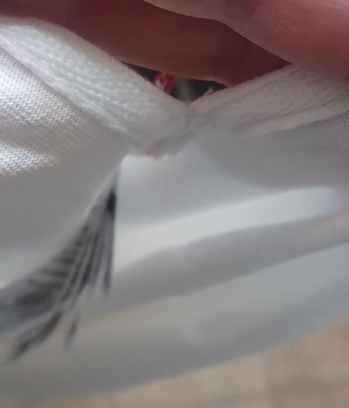 Foto 1 della recensione.