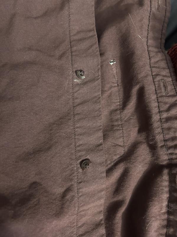Review photo 5.