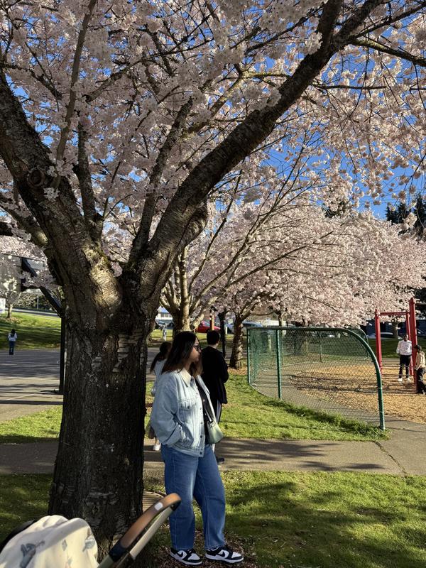 Avis sur la photo 1.