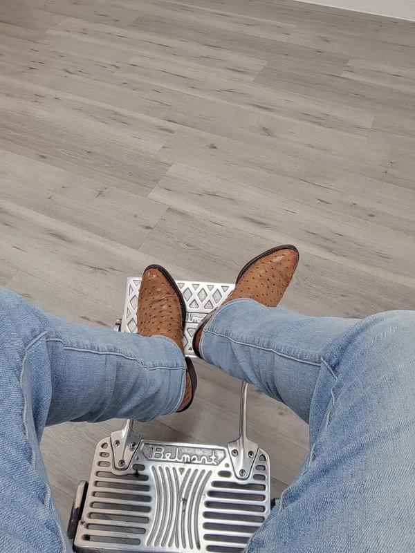 Avis sur la photo 1.
