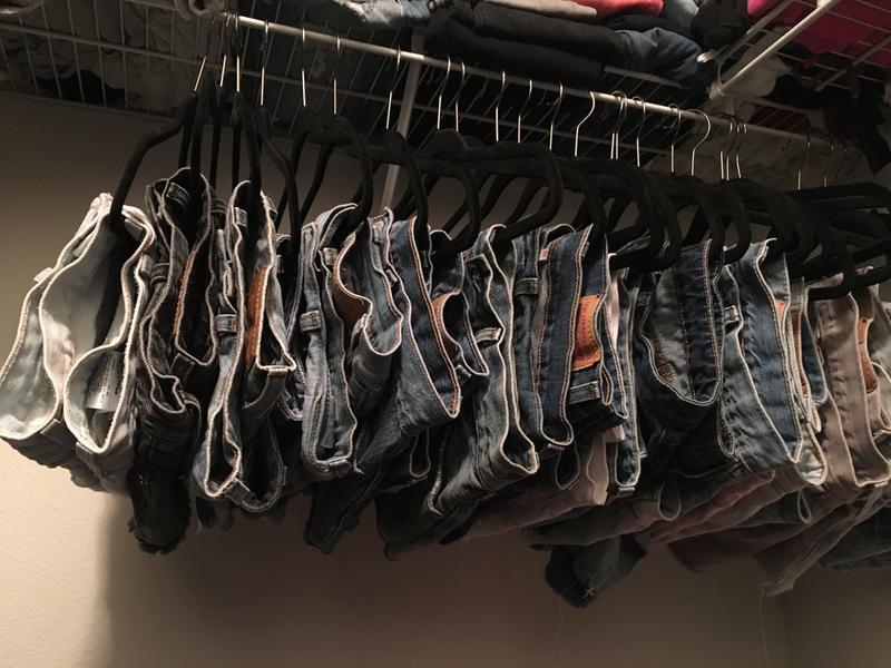 501 shorts collection