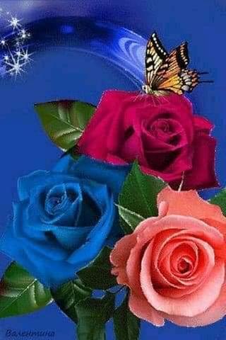 Chemises bleu