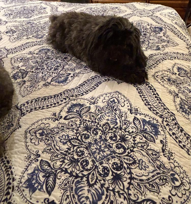 Customer carousel item 3.