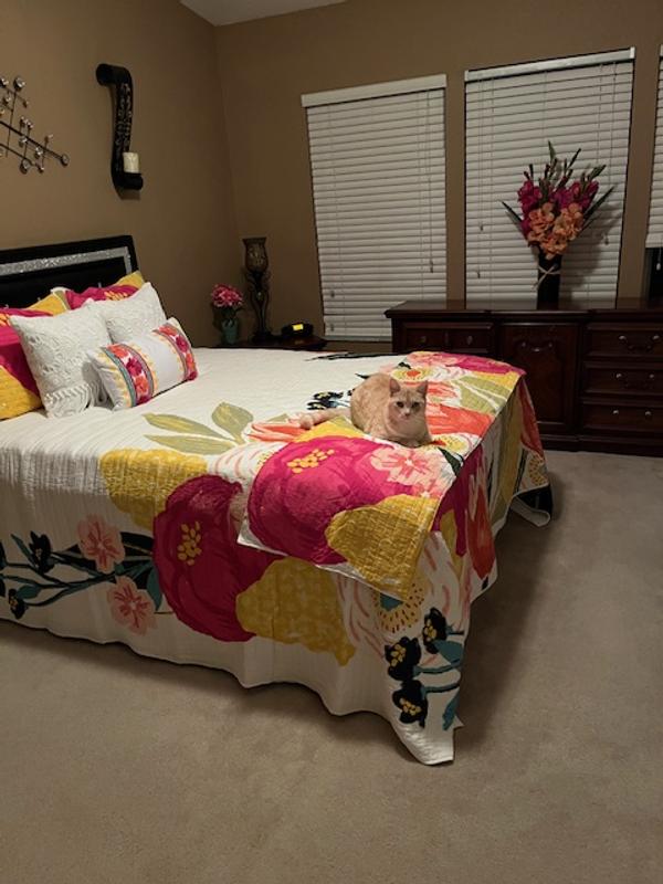 Customer carousel item 2.