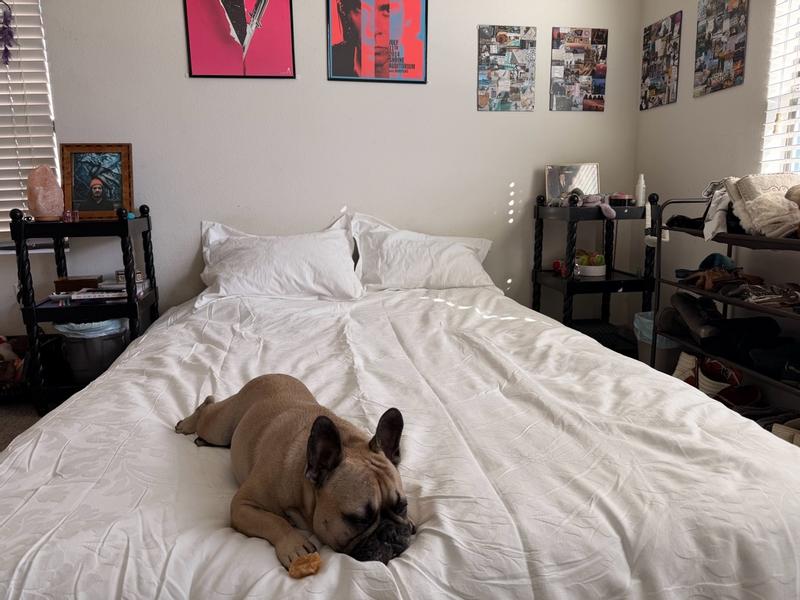 Photo from sarahgaec3_1742