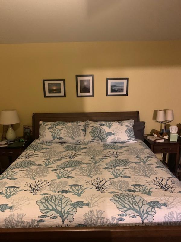 LevTex Lacey Sea king quilt set with matching shams.