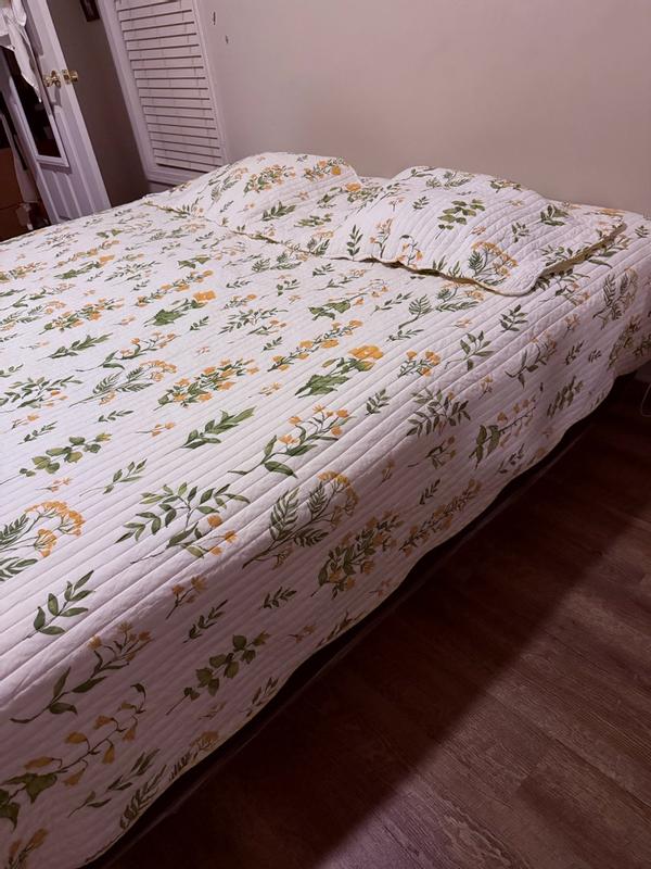 Photo from minguyen_9604