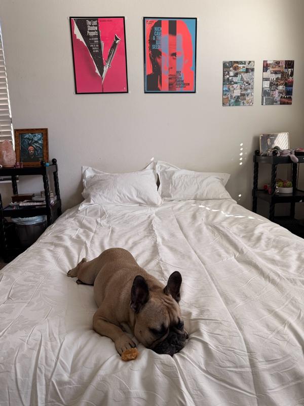 Photo from sarahgaec3_1742