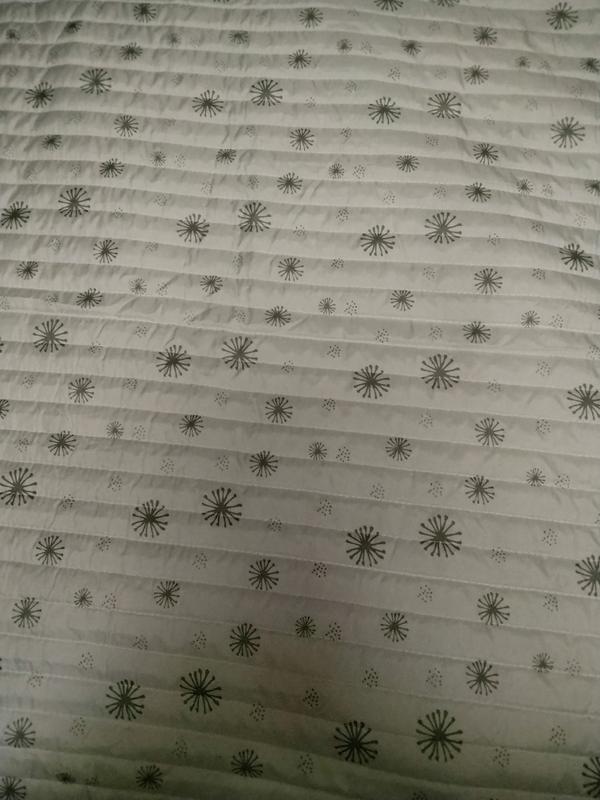 Side 2 snowflakes close up