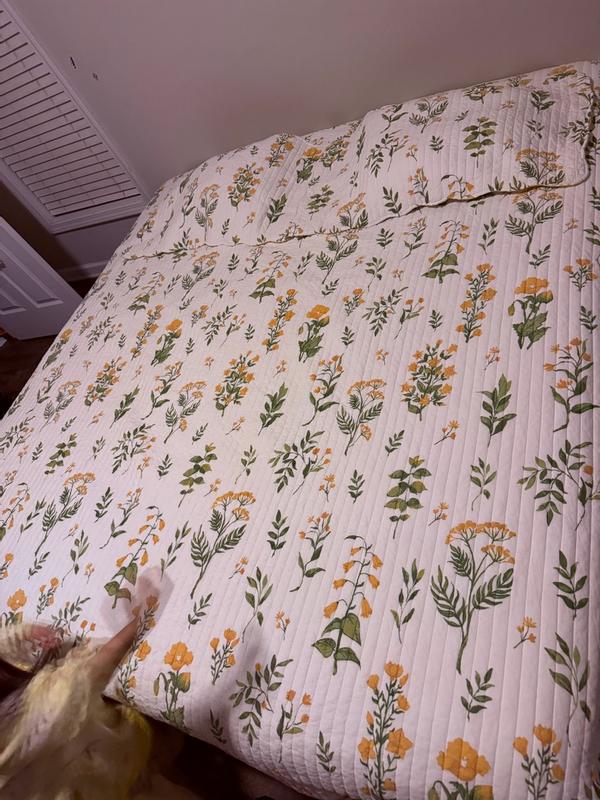 Photo from minguyen_9604