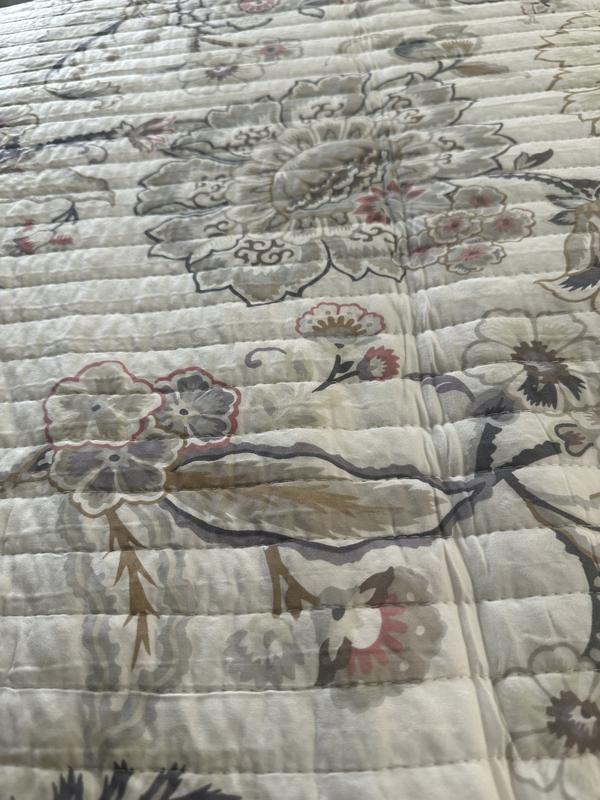 Customer carousel item 2.