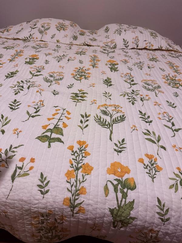 Photo from minguyen_9604