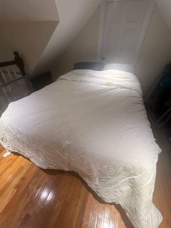 Customer carousel item 2.