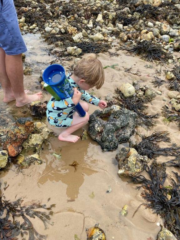 Fossil hunting