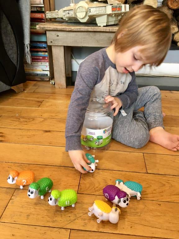 Learning Resources Snap-N-Learn Counting Sheep Playset at Tractor Supply Co