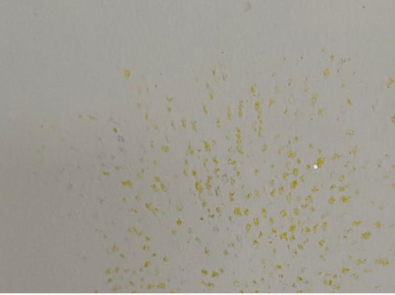 Marked a wall