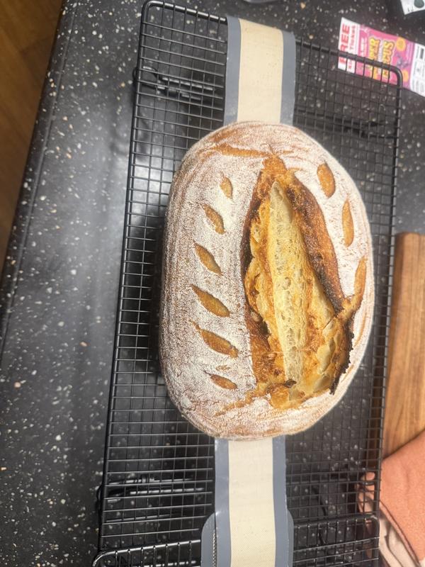 Review Thumbnail Image 0 383401902