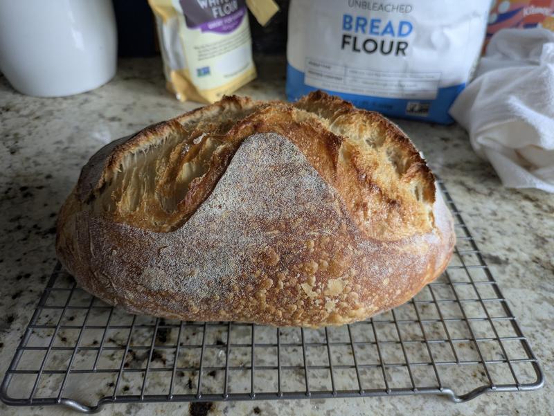 Review Thumbnail Image 0 383084649