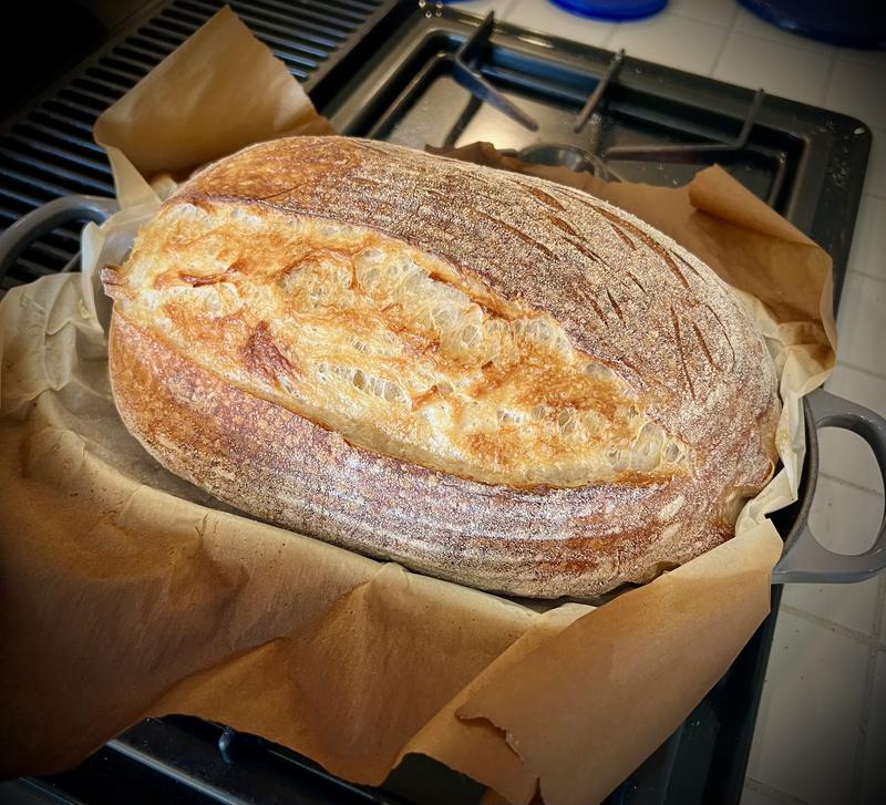 Customer photo for "Perfect Bread Oven for Batards"