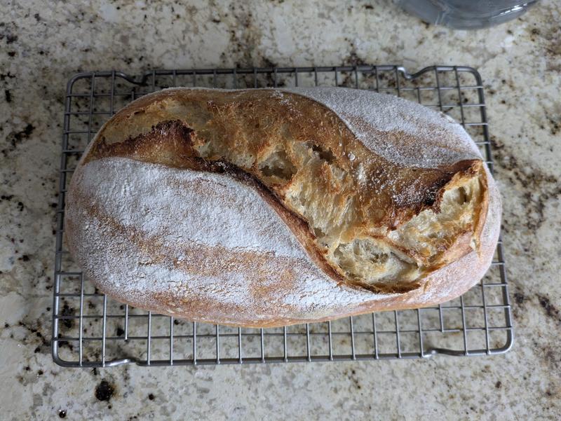 Review Thumbnail Image 1 383084649